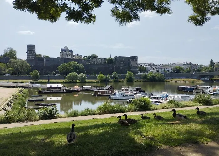 La Toue Vent D'anjou - Bateau Traditionnel De La Loire *